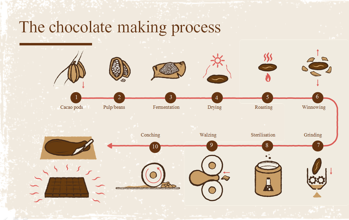 Диаграмма шоколада. Схема шоколада. Process of making Chocolate. Chocolate Production process. Производство шоколада картинки для детей.